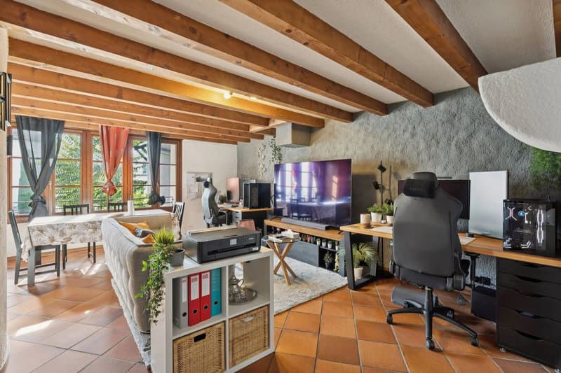 Maison villageoise : 4 logements loués et 1 arcade - fort potentiel (7)