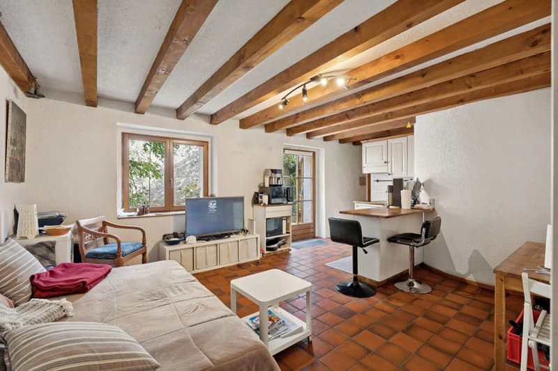 Maison villageoise : 4 logements loués et 1 arcade - fort potentiel (6)