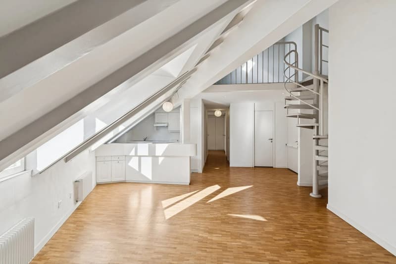 PLEIN CENTRE DE GENÈVE ? RUES BASSES ? ÉLÉGANT DUPLEX AVEC ASCENSEUR (2)