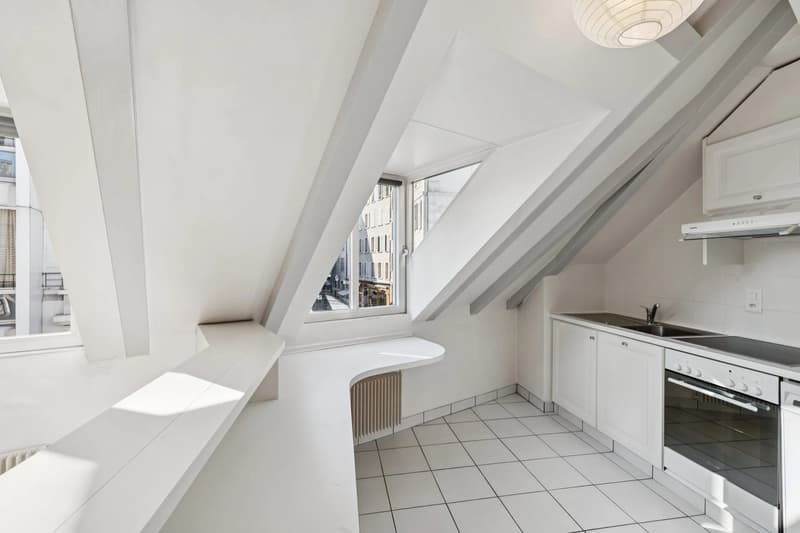 PLEIN CENTRE DE GENÈVE ? RUES BASSES ? ÉLÉGANT DUPLEX AVEC ASCENSEUR (4)