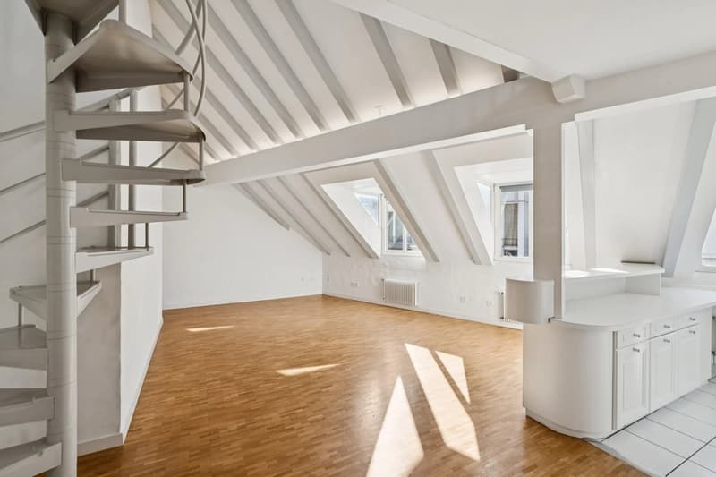 PLEIN CENTRE DE GENÈVE ? RUES BASSES ? ÉLÉGANT DUPLEX AVEC ASCENSEUR (3)