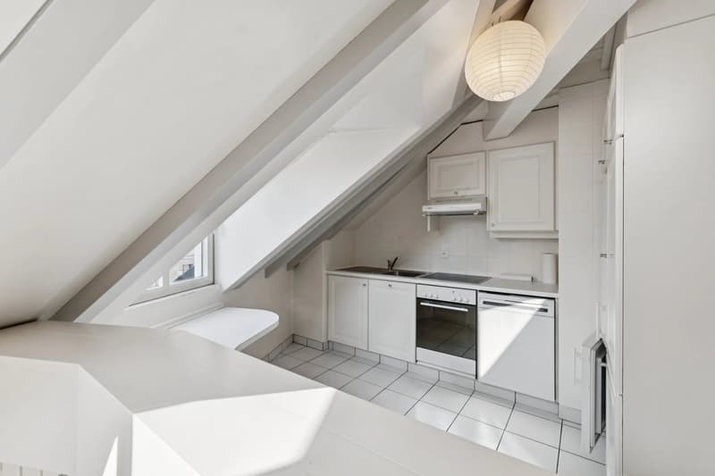 PLEIN CENTRE DE GENÈVE ? RUES BASSES ? ÉLÉGANT DUPLEX AVEC ASCENSEUR (5)