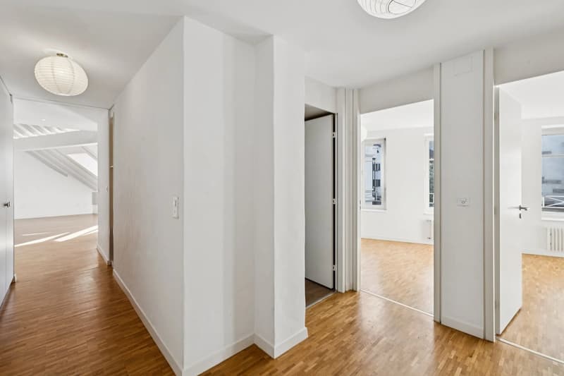 PLEIN CENTRE DE GENÈVE ? RUES BASSES ? ÉLÉGANT DUPLEX AVEC ASCENSEUR (6)