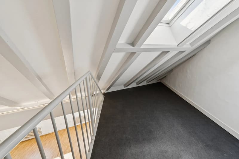PLEIN CENTRE DE GENÈVE ? RUES BASSES ? ÉLÉGANT DUPLEX AVEC ASCENSEUR (13)