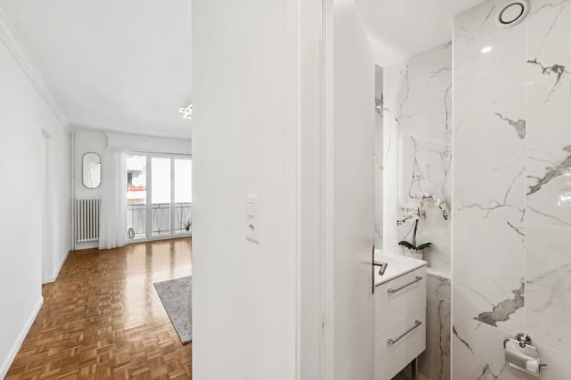 En exclusivité - Appartement de 5 pièces à proximité immédiate du Lac (10)