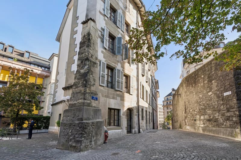 PLEIN CENTRE DE GENÈVE ? RUES BASSES ? ÉLÉGANT DUPLEX AVEC ASCENSEUR (1)