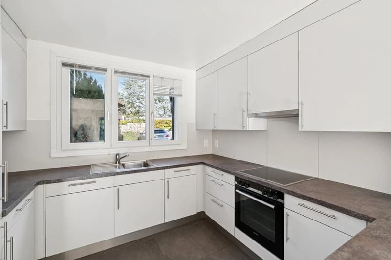En exclusivité / Ravissante maison familiale en pignon avec vue sur le lac (4)