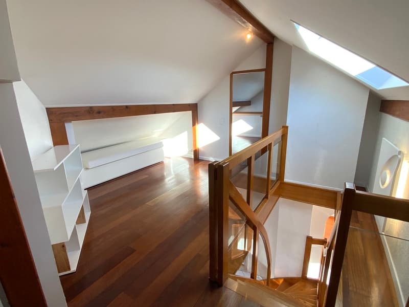 raised ground floor with attic, wooden floor, spiral staircase, white shelves, white walls, skylight