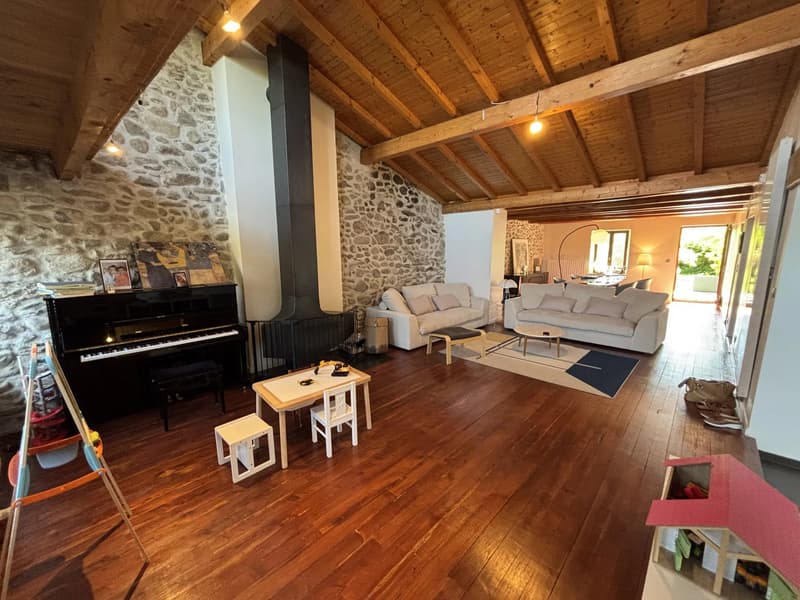 Fattoria ristrutturata ideale per la posizione - Centro del villaggio, Feigères (2)