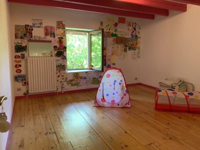 Fattoria ristrutturata ideale per la posizione - Centro del villaggio, Feigères (7)