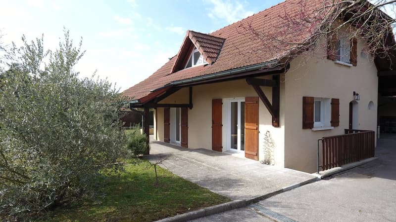 Bellissima villa individuale - Chens sur Leman (9)