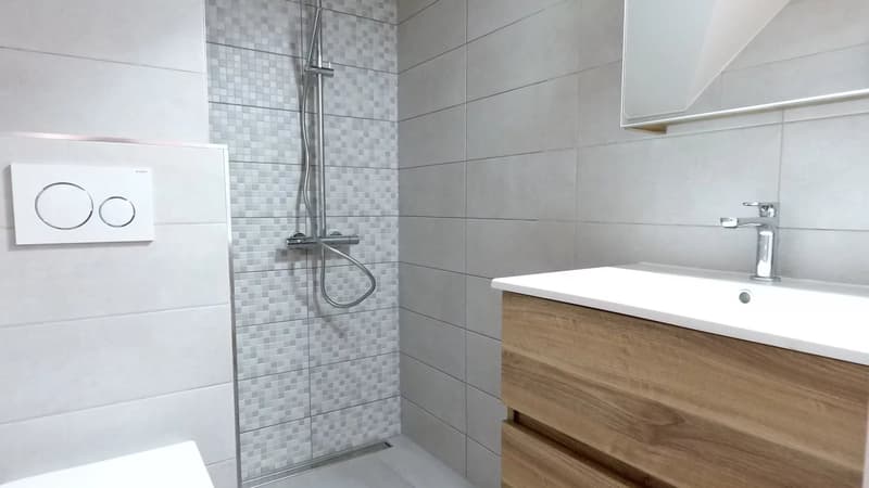 Bellissima villa individuale - Chens sur Leman (11)