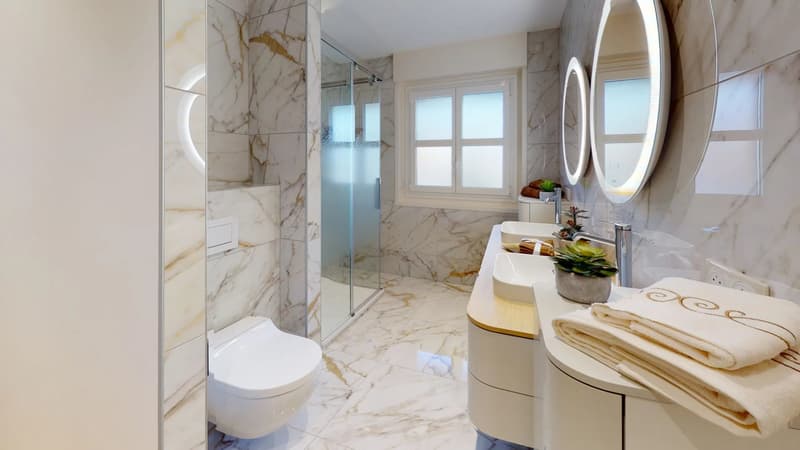 Penthouse mit 220m2, prestigeträchtig und im Dachgeschoss, in Divonne-les-Bains (8)