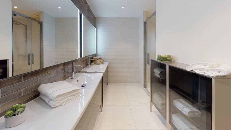 Penthouse mit 220m2, prestigeträchtig und im Dachgeschoss, in Divonne-les-Bains (9)