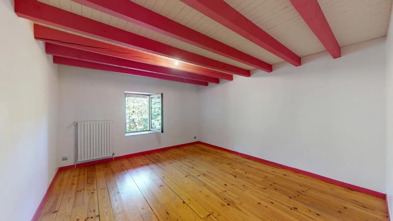 Ferme rénovée idéalement placée - Coeur de Village, Feigères (8)