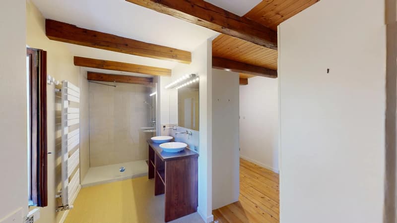 Ferme rénovée idéalement placée - Coeur de Village, Feigères (9)