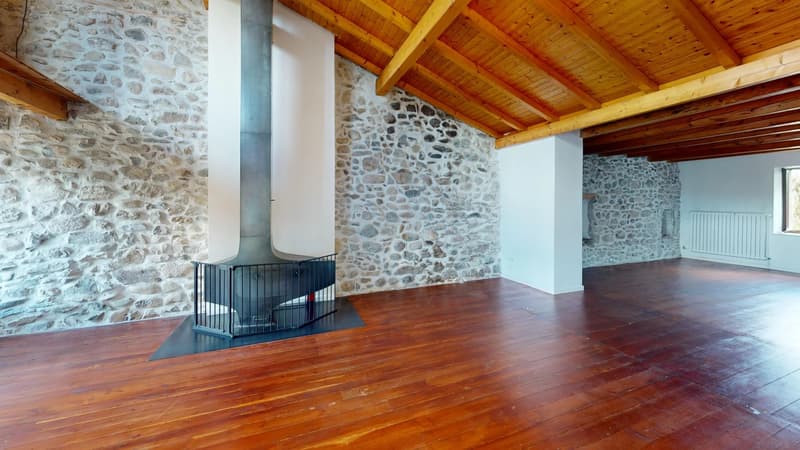 Renovated farm ideally located - Village center, Feigères (5)