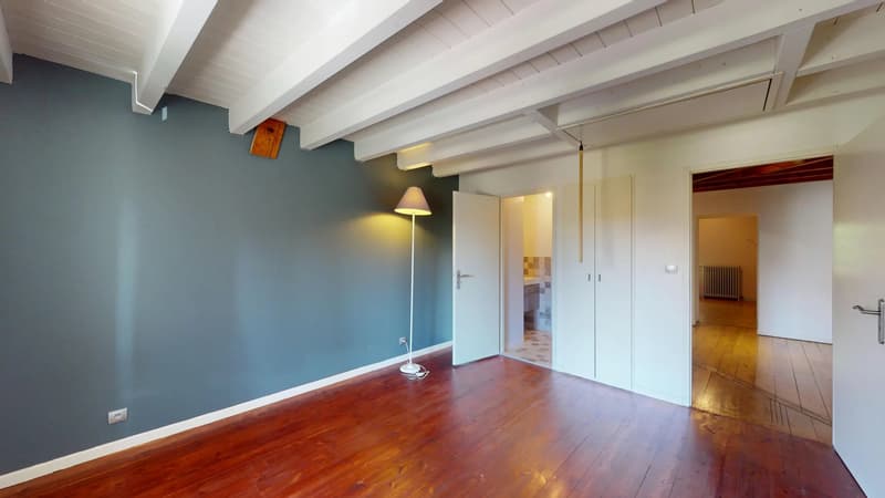 Renovated farm ideally located - Village center, Feigères (13)