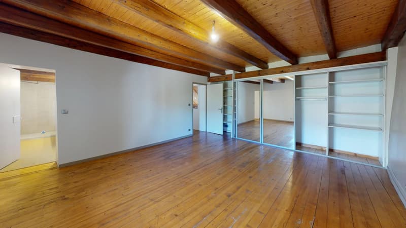Renovated farm ideally located - Village center, Feigères (11)