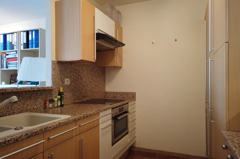 Appartement mit Terrasse - Collonges sous Salève (3)