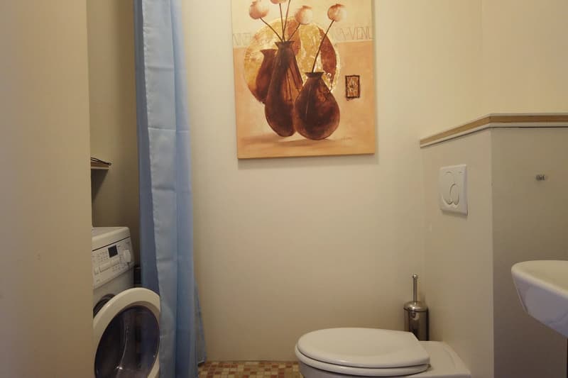 Appartement mit Terrasse - Collonges sous Salève (12)