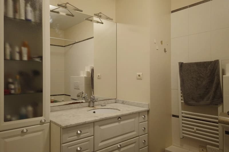 Appartement mit Terrasse - Collonges sous Salève (9)