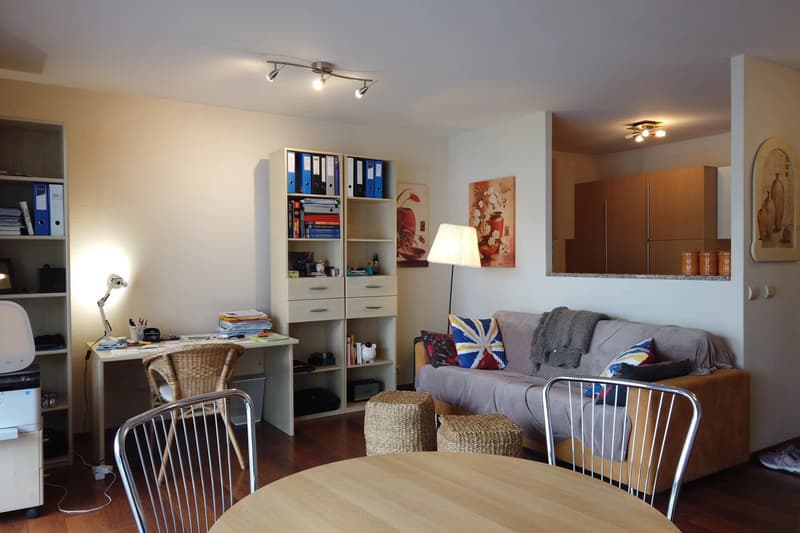 Appartement mit Terrasse - Collonges sous Salève (4)