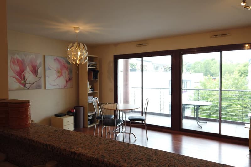 Appartement mit Terrasse - Collonges sous Salève (6)