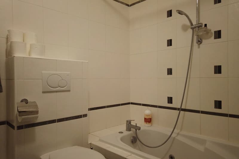 Appartement mit Terrasse - Collonges sous Salève (10)