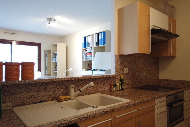 Appartement mit Terrasse - Collonges sous Salève (5)