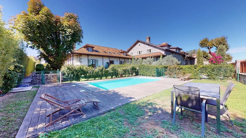 Appartement atypique à 30 minutes du centre ville de Genève (4)