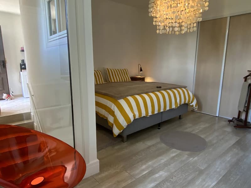 Appartement atypique à 30 minutes du centre ville de Genève (6)