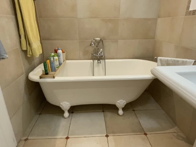 Appartement atypique à 30 minutes du centre ville de Genève (8)