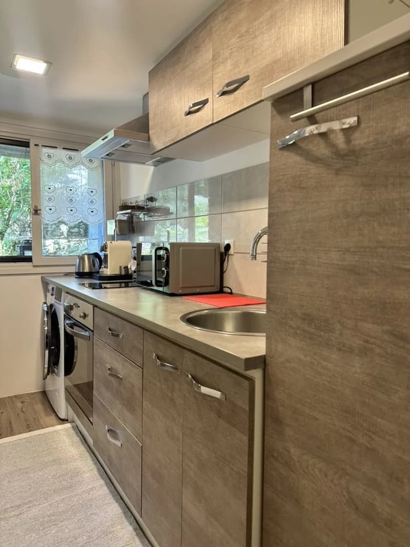 À louer - Appartement / Tiny House meublé à Feigères (4)