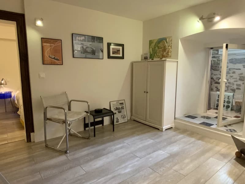 Appartement atypique à 30 minutes du centre ville de Genève (10)