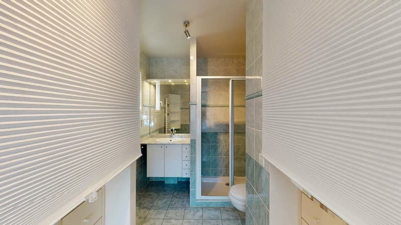 Maison 5 chambres - 5 minutes de la douane de Bardonnex (10)