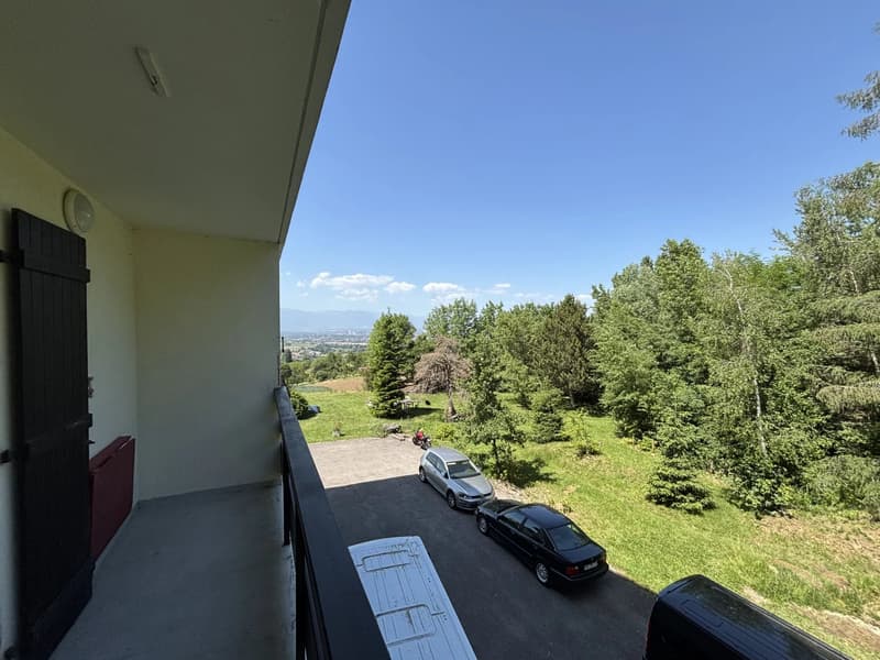 Charmant studio sur les hauts de Collonges sous Salève (6)