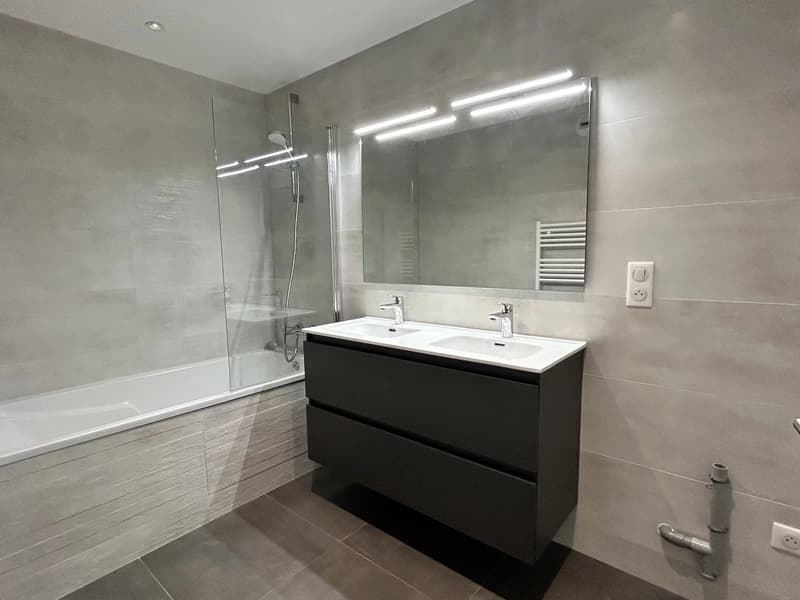 Appartement T4 entièrement rénové Saint-Julien-En-Genevois (4)