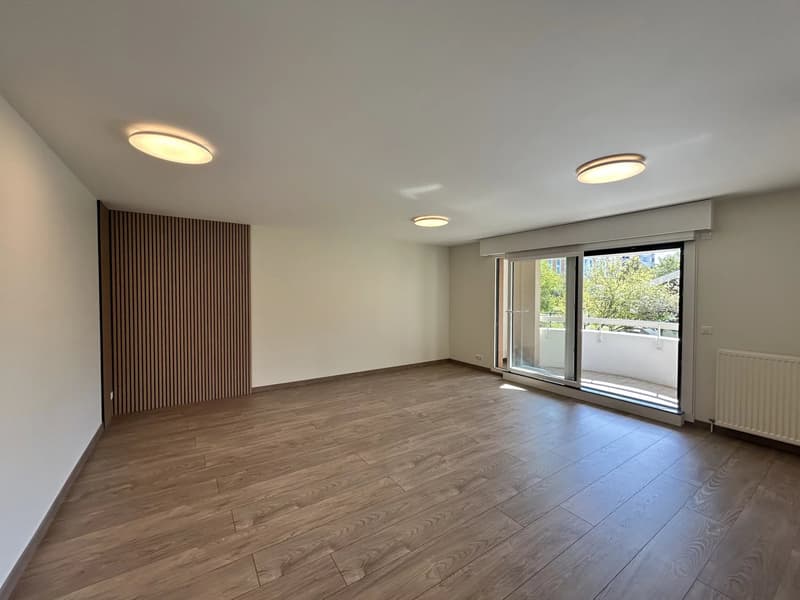 Appartement T4 entièrement rénové Saint-Julien-En-Genevois (3)