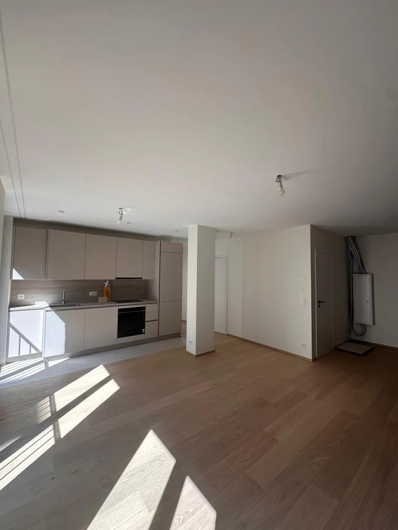 BIEN RARE - PETIT-SACONNEX ? 4 PIÈCES MEUBLÉ DE 70 M² ? RÉSIDENCE NEUVE (4)