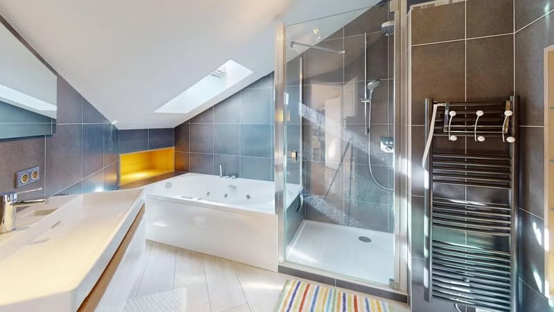 Superbe appartement duplex meublé en dernier étage ? Vue imprenable sur le Salève et les montagnes (12)