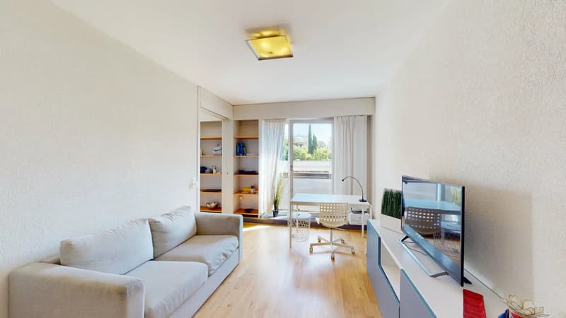 Appartement 3 pièces meublé, proche ONU - Genève (1)