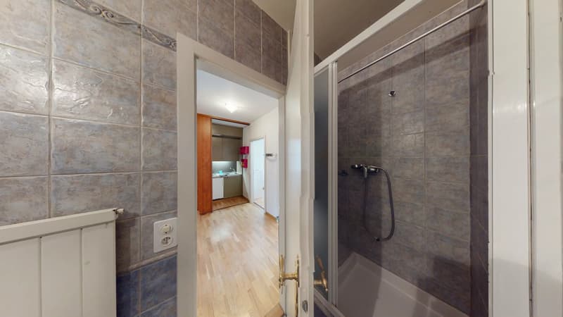 Appartement 3 pièces meublé, proche ONU - Genève (7)