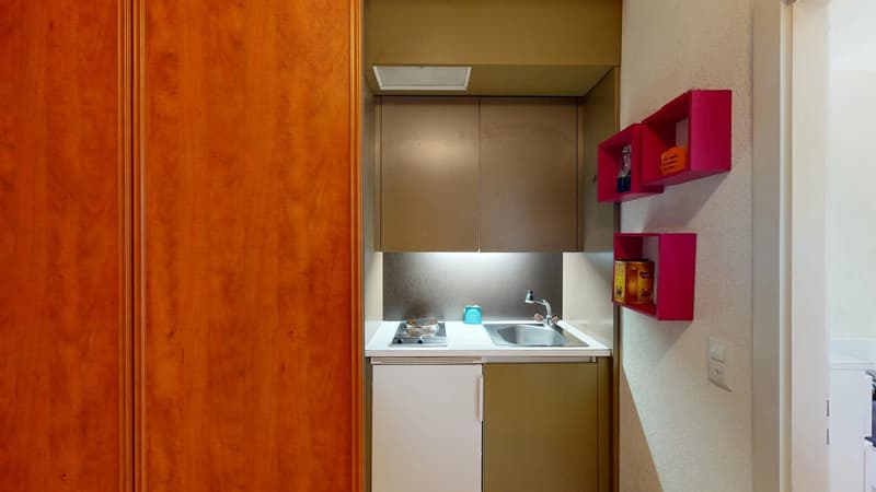 Appartement 3 pièces meublé, proche ONU - Genève (3)