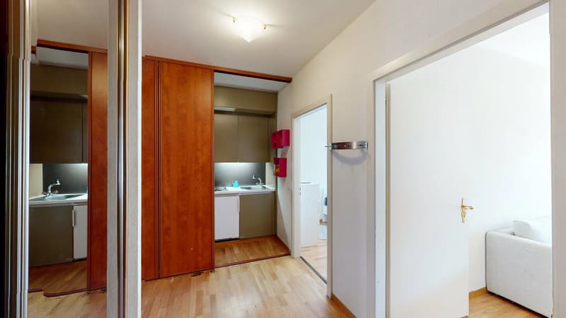 Appartement 3 pièces meublé, proche ONU - Genève (5)