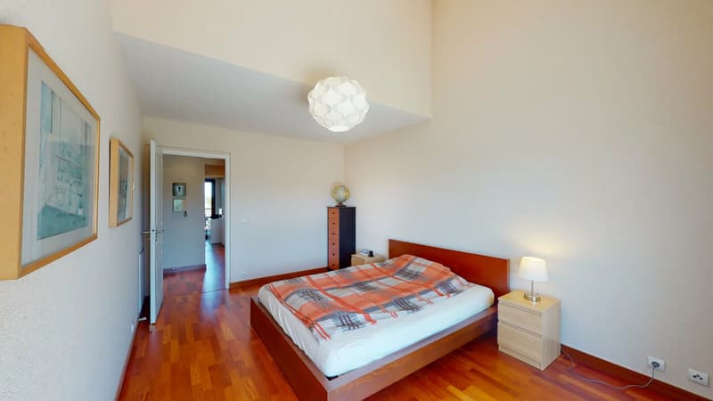 Appartement dernier étage, avec terrasse, proche douane Croix-de-Rozon (4)