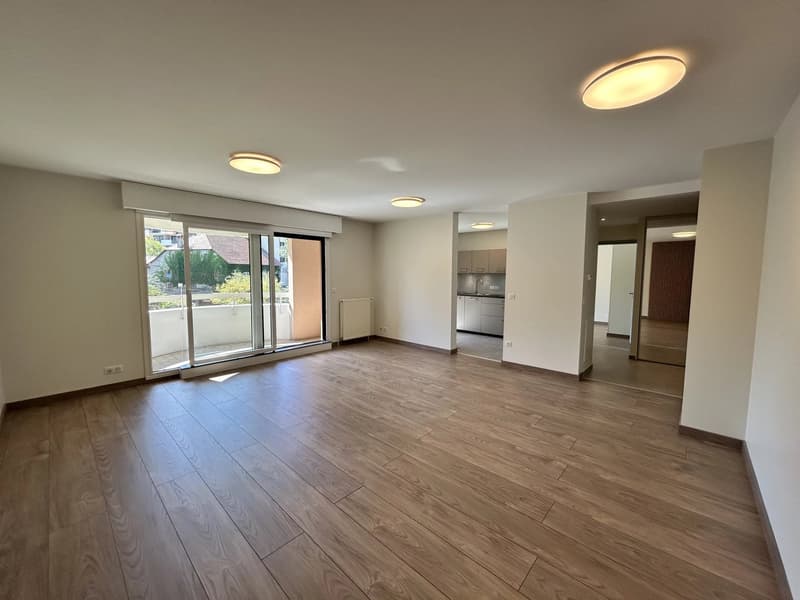 Appartement T4 entièrement rénové Saint-Julien-En-Genevois (1)