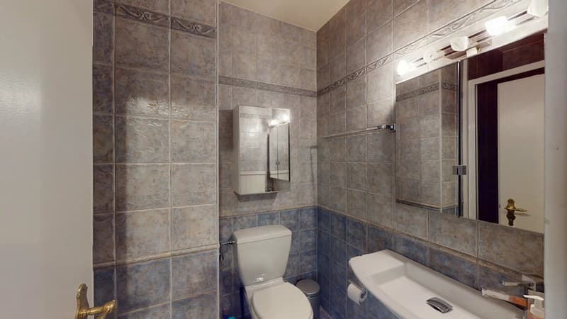 Appartement 3 pièces meublé, proche ONU - Genève (6)