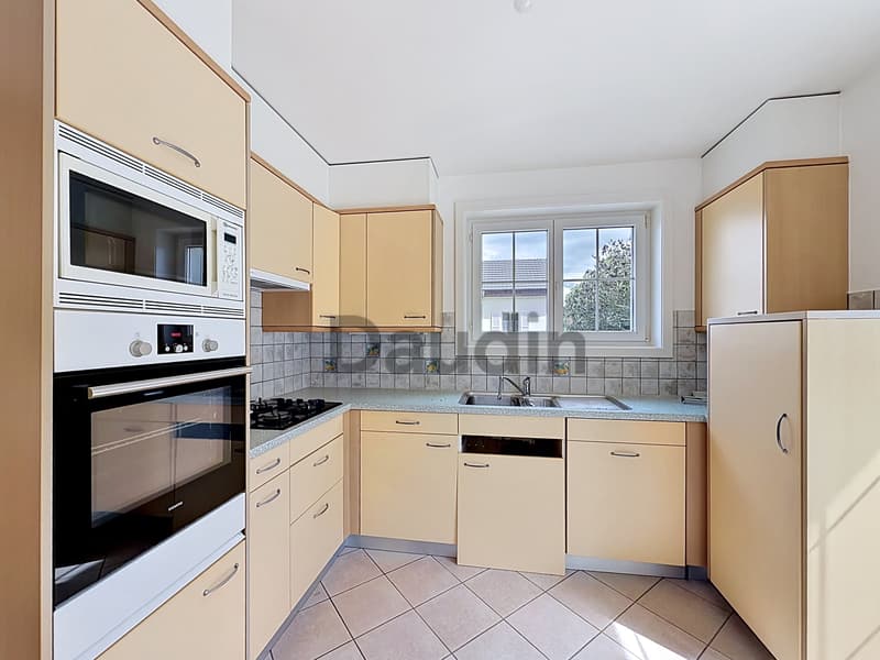Charming individual villa in Chêne-Bourg (3)