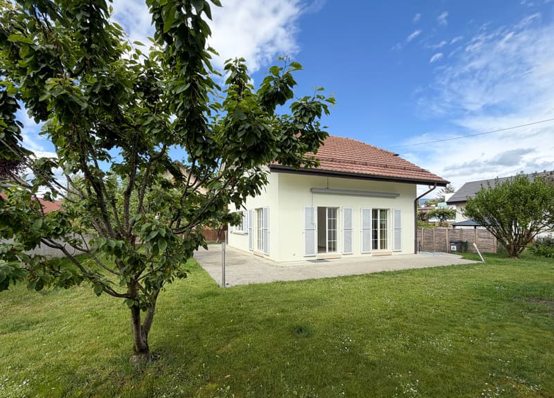 Charming individual villa in Chêne-Bourg (2)
